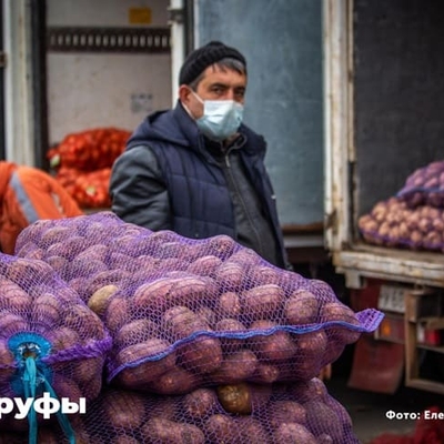Урожай бьет рекорды, но в магазинах его нет: раскрыта причина — партнерский материал